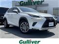 2020 Lexus NX