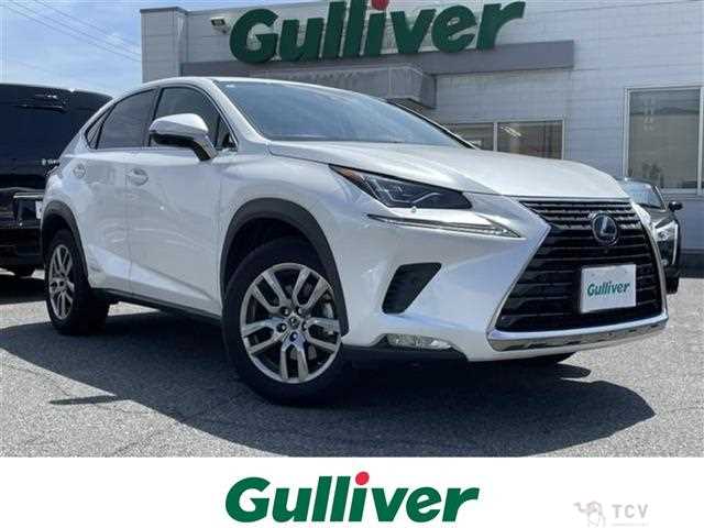 2020 Lexus NX