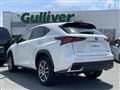 2020 Lexus NX