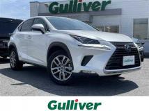 2020 Lexus NX