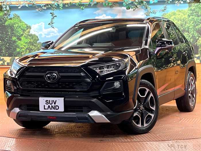2019 Toyota RAV4