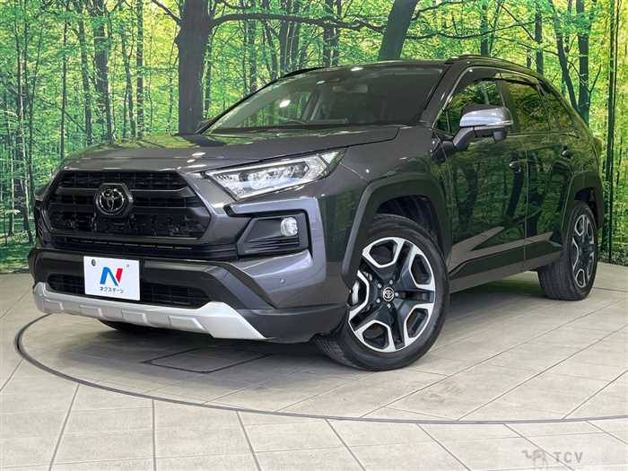 2019 Toyota RAV4