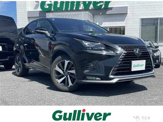 2020 Lexus NX