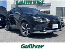 2020 Lexus NX