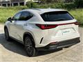2025 Lexus NX