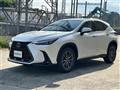 2025 Lexus NX