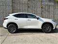 2025 Lexus NX