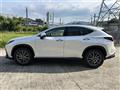 2025 Lexus NX