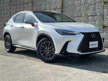 2025 Lexus NX