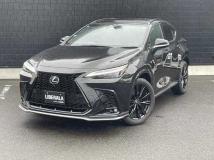 2023 Lexus NX