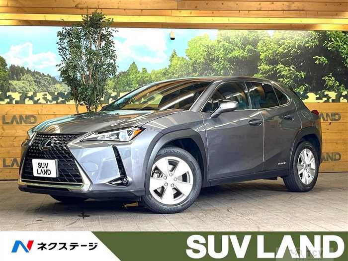 2019 Lexus Other