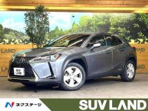 2019 Lexus Other