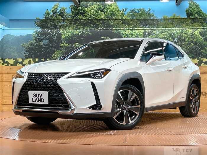 2019 Lexus Other