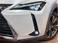 2019 Lexus Other