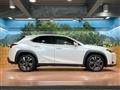 2019 Lexus Other