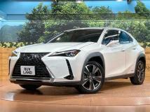 2019 Lexus Other