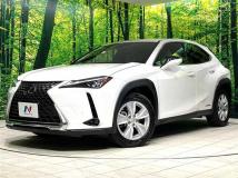 2020 Lexus Other
