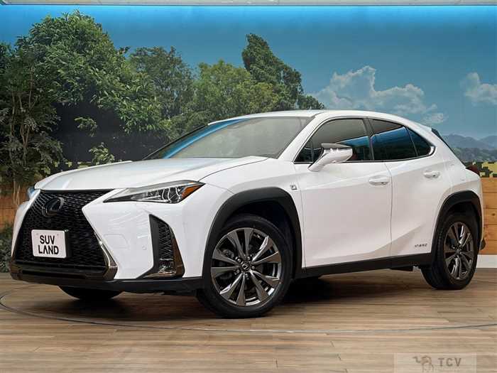 2019 Lexus Other