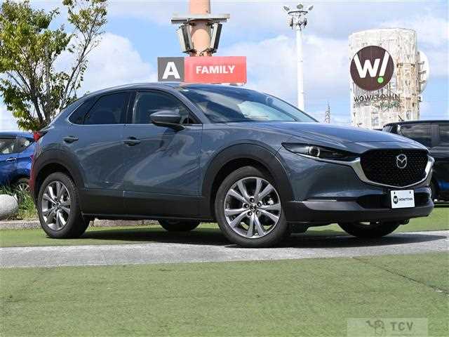 2019 Mazda CX-3