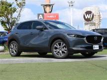 2019 Mazda CX-3