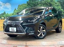 2019 Lexus NX