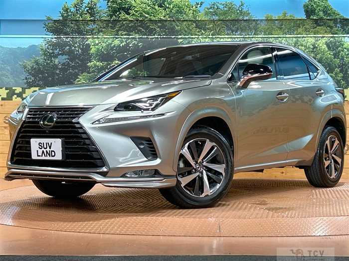 2021 Lexus NX