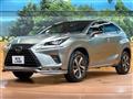 2021 Lexus NX