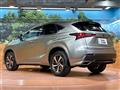 2021 Lexus NX