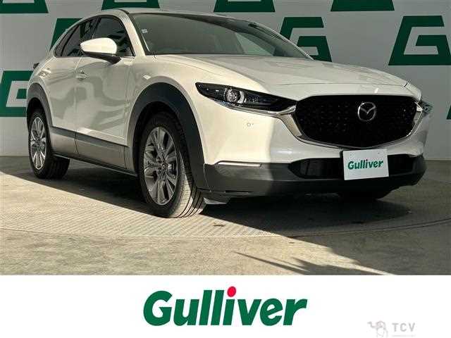 2023 Mazda CX-3