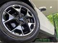 2019 Subaru Subaru Others