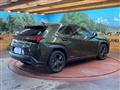 2019 Lexus Other