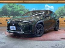 2019 Lexus Other