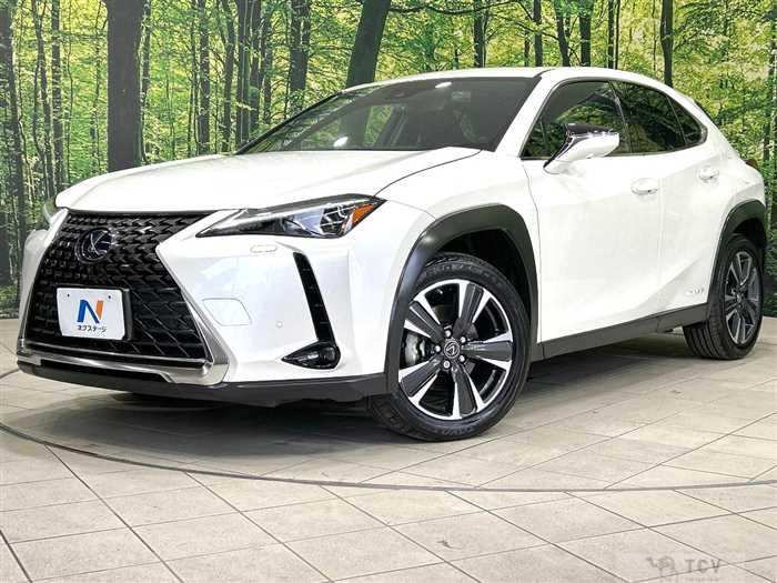 2021 Lexus Other