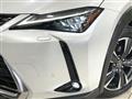 2021 Lexus Other