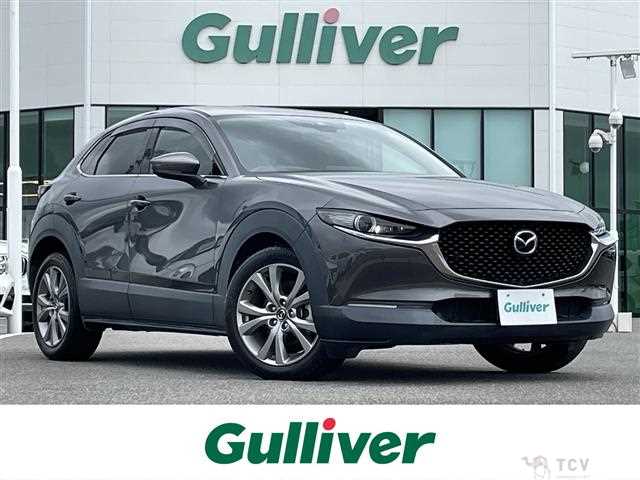 2021 Mazda CX-3