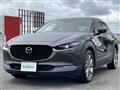 2021 Mazda CX-3