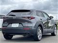 2021 Mazda CX-3