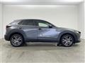 2021 Mazda CX-3