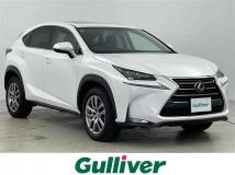 2016 Lexus NX