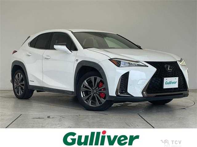 2021 Lexus UX