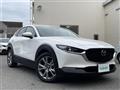 2022 Mazda CX-3