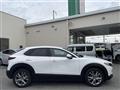 2022 Mazda CX-3