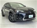 2019 Lexus UX
