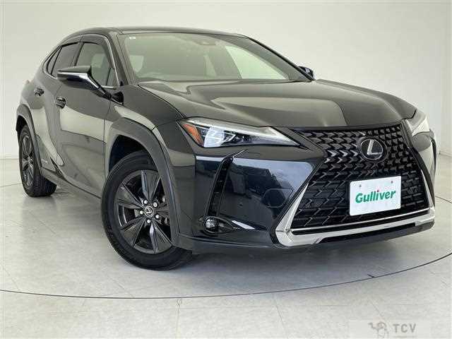 2019 Lexus UX