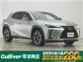 2019 Lexus UX