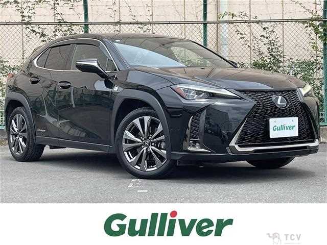2019 Lexus UX