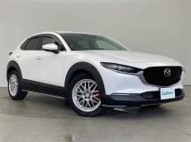 2019 Mazda CX-3