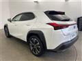 2019 Lexus UX