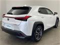 2019 Lexus UX