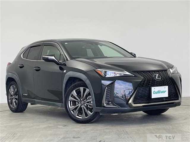 2020 Lexus UX